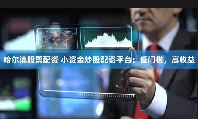 哈尔滨股票配资 小资金炒股配资平台：低门槛，高收益