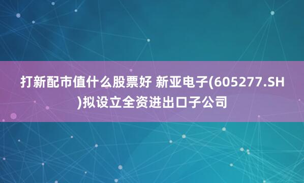 打新配市值什么股票好 新亚电子(605277.SH)拟设立全资进出口子公司